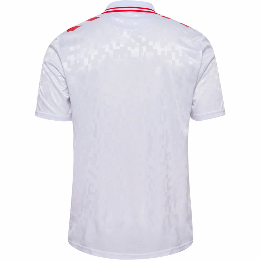 24-25 Denmark Mens Away Jersey