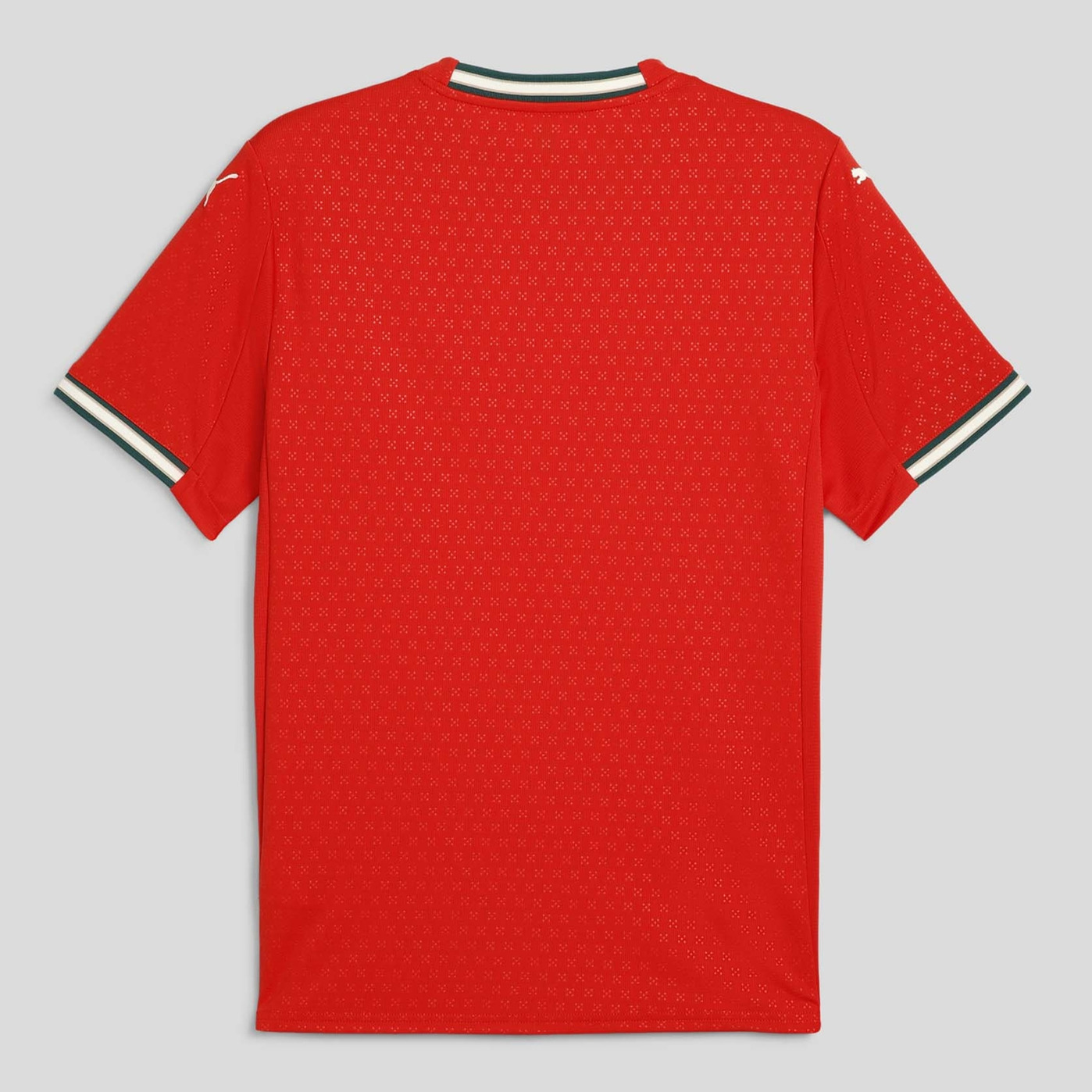 25-26 Portugal Mens Home Jersey